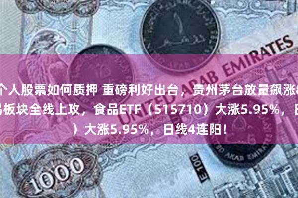 个人股票如何质押 重磅利好出台，贵州茅台放量飙涨8.8%！吃喝板块全线上攻，食品ETF（515710）大涨5.95%，日线4连阳！