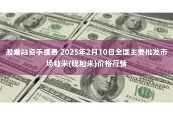 股票融资手续费 2025年2月10日全国主要批发市场籼米(晚籼米)价格行情
