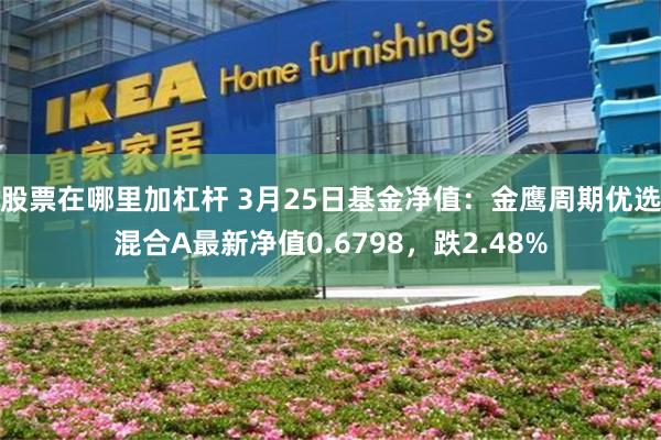 股票在哪里加杠杆 3月25日基金净值：金鹰周期优选混合A最新净值0.6798，跌2.48%