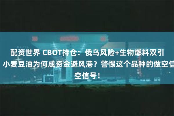 配资世界 CBOT持仓：俄乌风险+生物燃料双引擎！小麦豆油为何成资金避风港？警惕这个品种的做空信号！