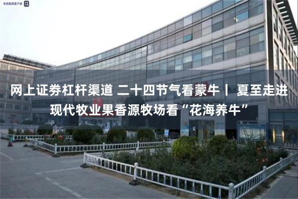 网上证劵杠杆渠道 二十四节气看蒙牛丨 夏至走进现代牧业果香源牧场看“花海养牛”