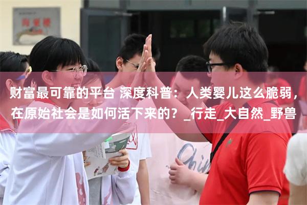 财富最可靠的平台 深度科普：人类婴儿这么脆弱，在原始社会是如何活下来的？_行走_大自然_野兽