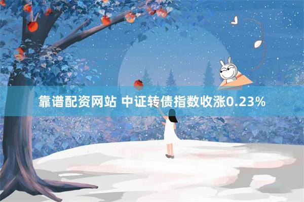 靠谱配资网站 中证转债指数收涨0.23%