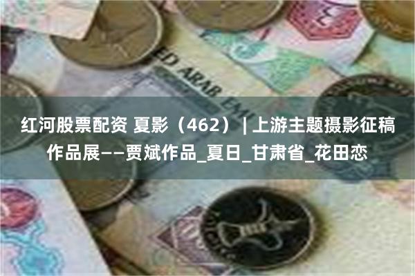 红河股票配资 夏影（462） | 上游主题摄影征稿作品展——贾斌作品_夏日_甘肃省_花田恋