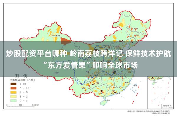 炒股配资平台哪种 岭南荔枝跨洋记 保鲜技术护航 “东方爱情果”叩响全球市场