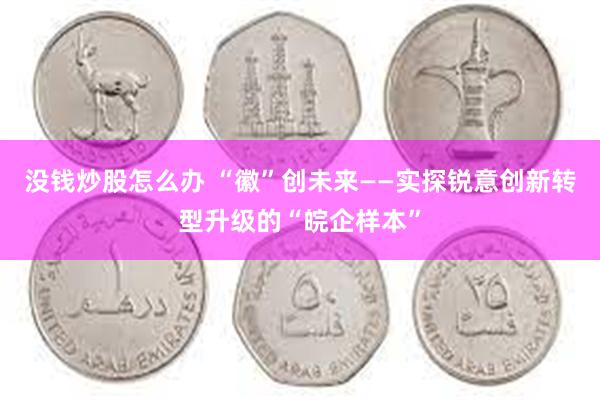 没钱炒股怎么办 “徽”创未来——实探锐意创新转型升级的“皖企样本”
