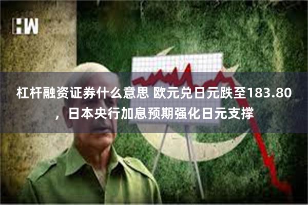 杠杆融资证券什么意思 欧元兑日元跌至183.80,日本央行加息预期强化日元支撑